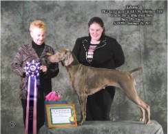 Reserve Best in Multi Breed Show